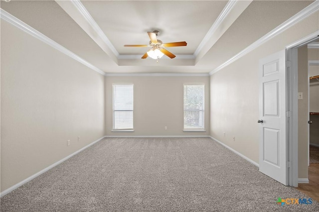 901 Mustang Trl, Harker Heights, TX 76548 - empty room with a raised ceiling, a ceiling fan, carpet floors, and crown molding