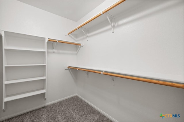 901 Mustang Trl, Harker Heights, TX 76548 - spacious closet featuring carpet flooring