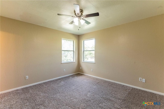 1001-1015 Cherokee Trl, Kempner, TX 76539 - photo 8