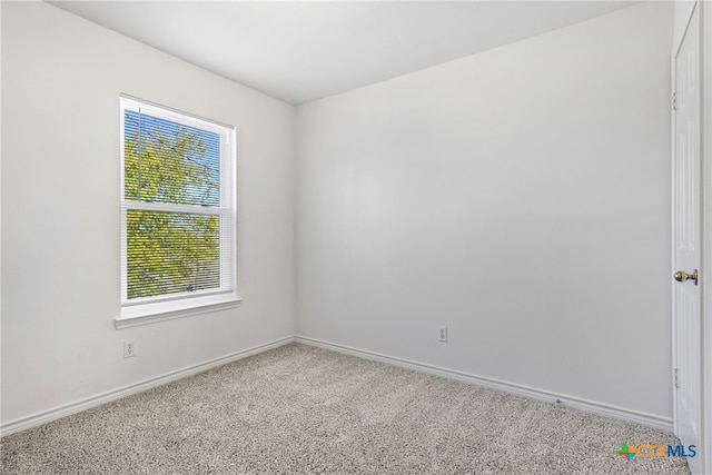 unfurnished room with carpet