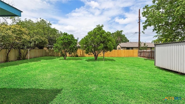 218 Gruene Rd, New Braunfels, TX 78130 - view of fenced backyard