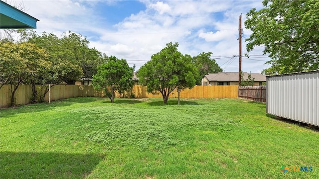 218 Gruene Rd, New Braunfels, TX 78130 - view of fenced backyard