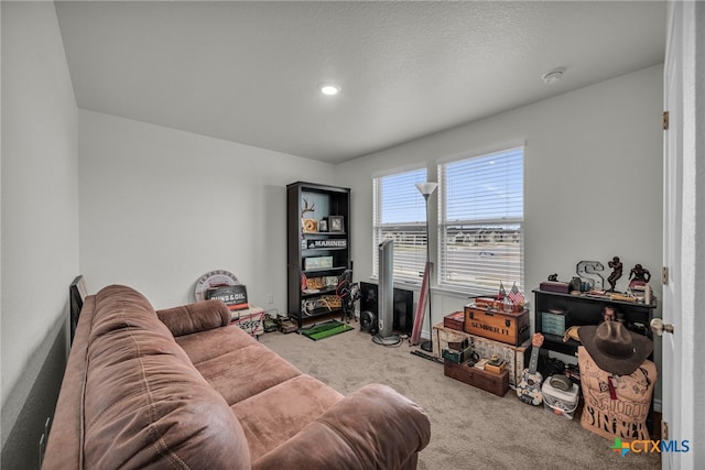 carpeted living room with a textured ceiling