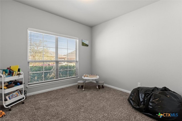 misc room with baseboards and carpet floors