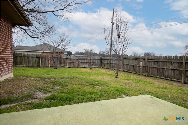 view of yard featuring a patio area