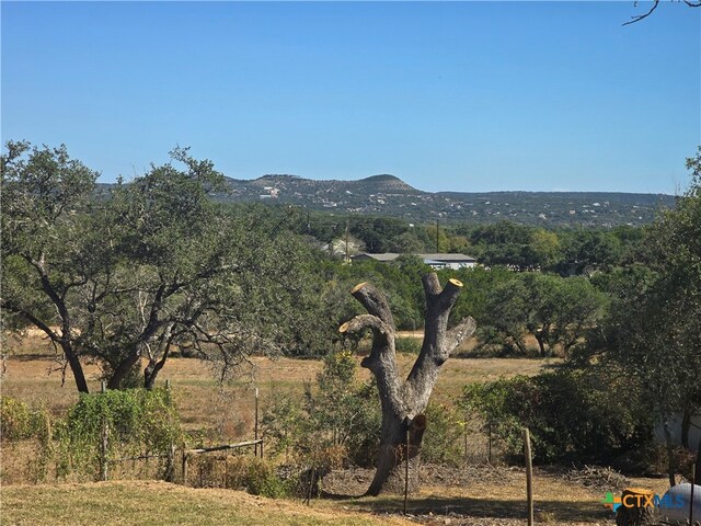 view of mountain feature