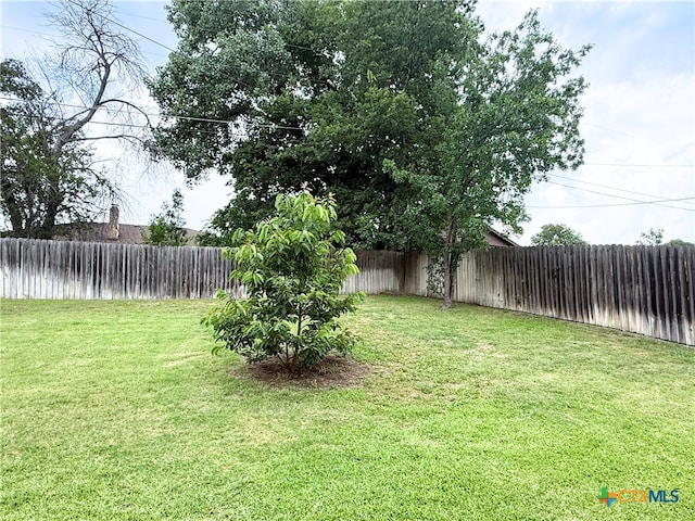 1901 Muir Dr, Killeen, TX 76543 - view of fenced backyard