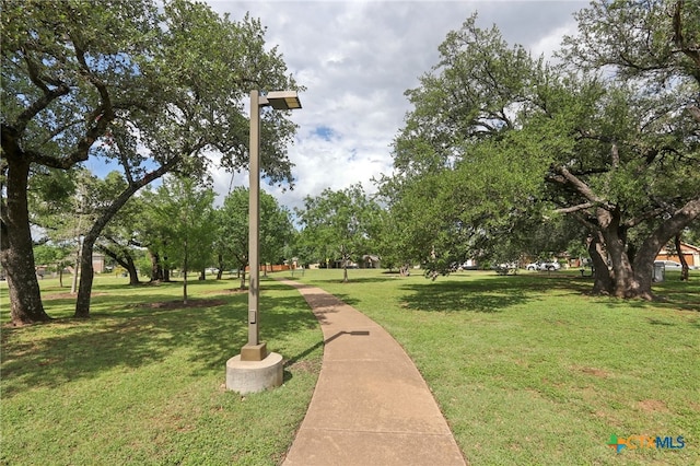 view of property's community with a yard
