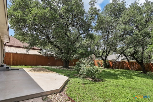 view of yard featuring a patio