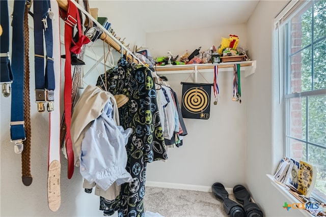 walk in closet with carpet flooring