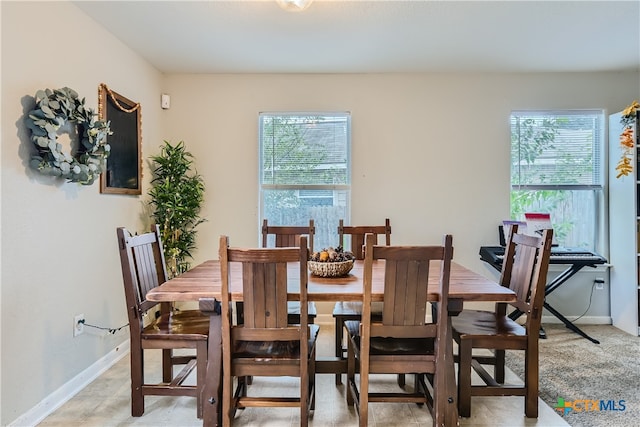 dining room with a wealth of natural light