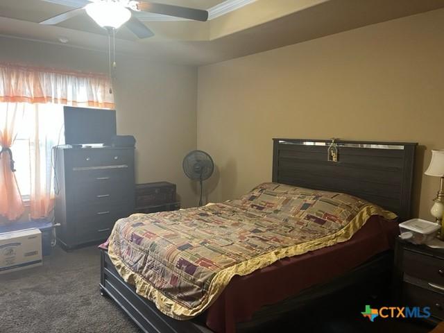 2107 Golden Eagle Dr, Killeen, TX 76549 - bedroom with a ceiling fan, a tray ceiling, carpet flooring, and ornamental molding