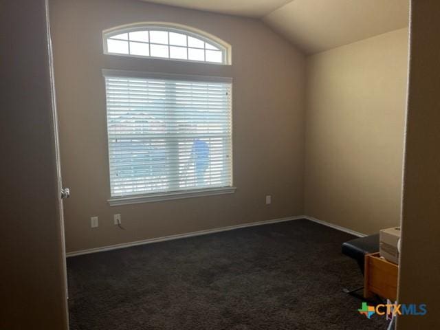 2107 Golden Eagle Dr, Killeen, TX 76549 - empty room with dark carpet, lofted ceiling, plenty of natural light, and baseboards