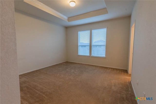 empty room with carpet and a tray ceiling