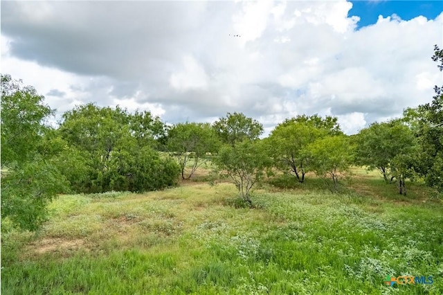 5485 County Road 249th Way, Luling, TX 78629