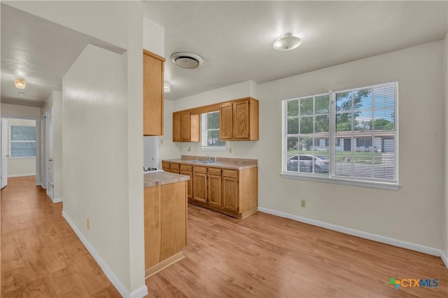 1210 Ridgemont Dr, Killeen, TX 76549 - kitchen featuring a sink, light wood-type flooring, light countertops, and healthy amount of natural light