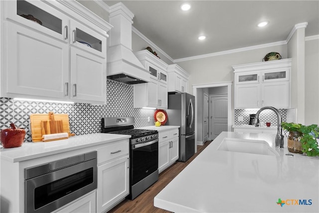 117 Aidan Ct, Burnet, TX 78611 - kitchen featuring appliances with stainless steel finishes, a sink, custom exhaust hood, white cabinets, and ornamental molding