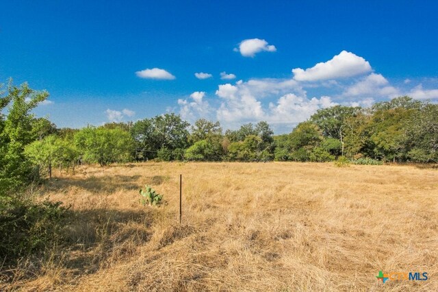 000 Wren Haven Dr, San Marcos, TX 78666 - photo 6