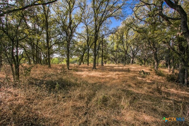 000 Wren Haven Dr, San Marcos, TX 78666 - photo 2