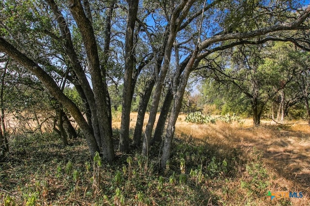 000 Wren Haven Dr, San Marcos, TX 78666 - photo 4