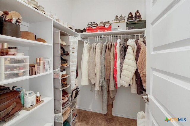 4648 Padula Dr, Round Rock, TX 78665 - spacious closet featuring carpet flooring