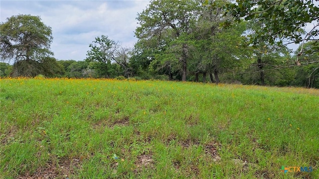 LOT222 Flash Cir, Luling, TX 78648