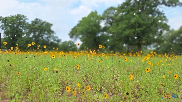 LOT222 Flash Cir, Luling, TX 78648