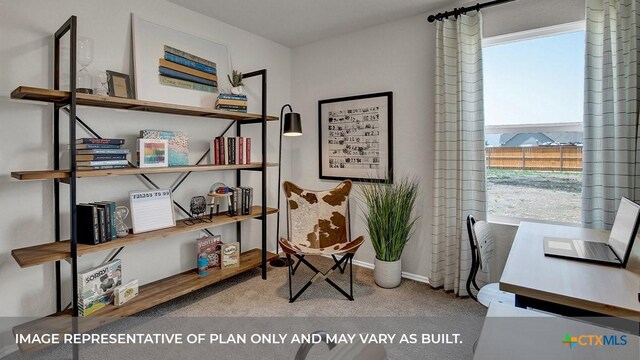 1000 Village Run, Seguin, TX 78155 - home office featuring healthy amount of natural light and carpet