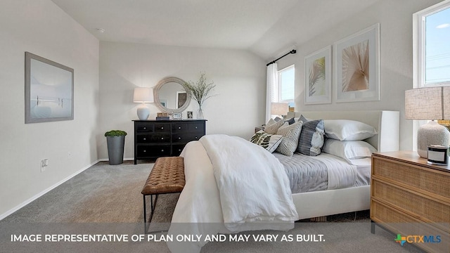 1000 Village Run, Seguin, TX 78155 - bedroom with carpet flooring and lofted ceiling