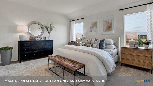 1000 Village Run, Seguin, TX 78155 - bedroom with carpet and lofted ceiling