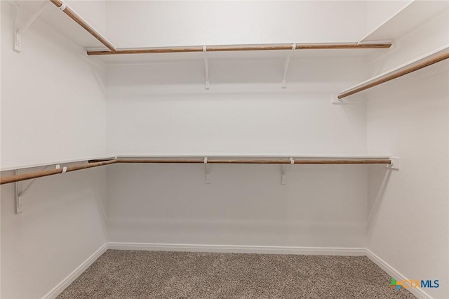 1233 Jester Ct, Copperas Cove, TX 76522 - walk in closet featuring carpet