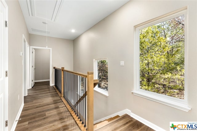 corridor with a healthy amount of sunlight and dark hardwood / wood-style flooring