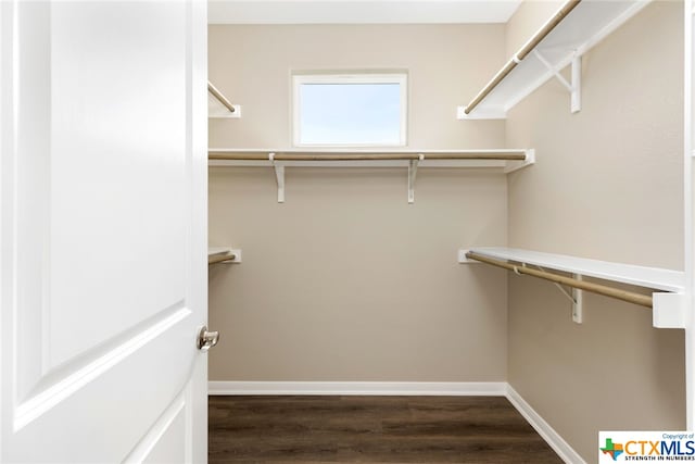 walk in closet featuring dark hardwood / wood-style floors