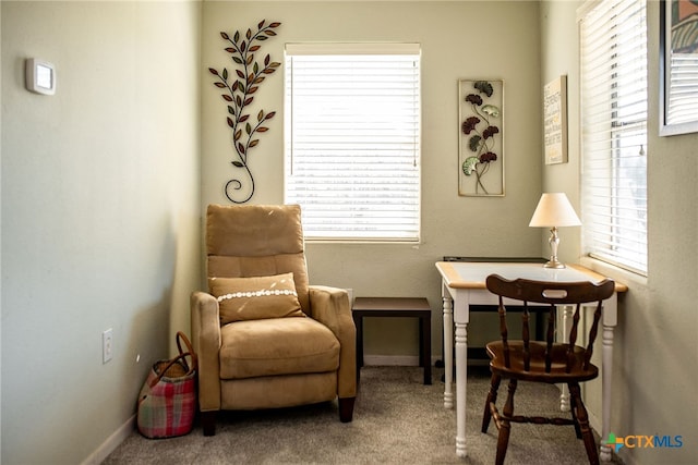 sitting room with carpet floors