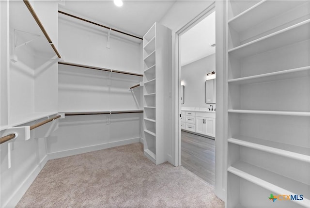 644 Creekside Dr, Belton, TX 76513 - spacious closet featuring light colored carpet and a sink