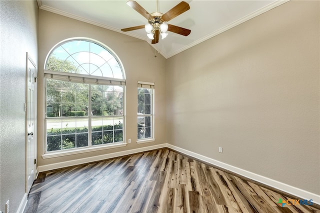 2415 Sparrow Dr, Round Rock, TX 78681 - photo 22