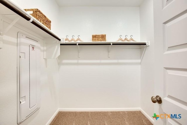 spacious closet with carpet flooring