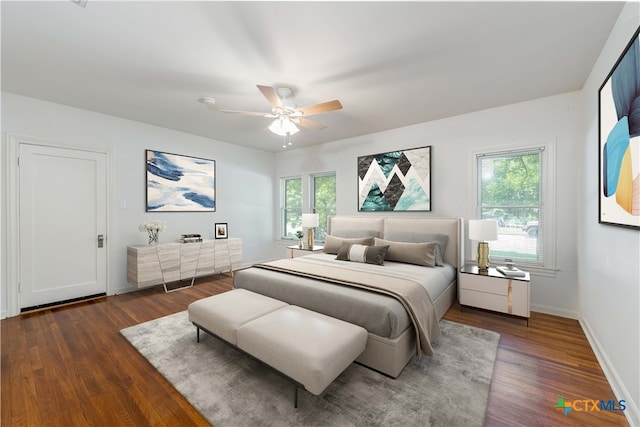 bedroom with multiple windows, dark hardwood / wood-style floors, and ceiling fan