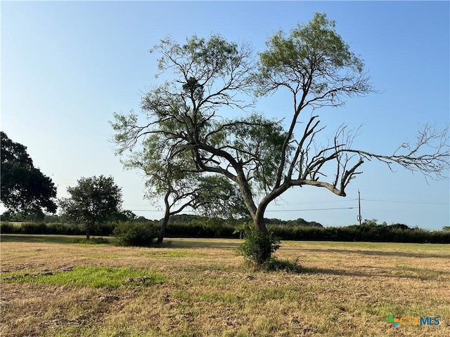 TRACT4 County Road 319, Edna, TX 77957 - photo 5