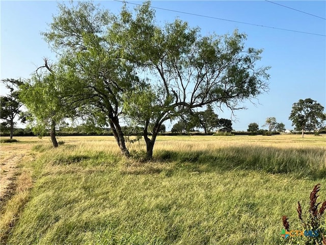 TRACT4 County Road 319, Edna, TX 77957 - photo 4