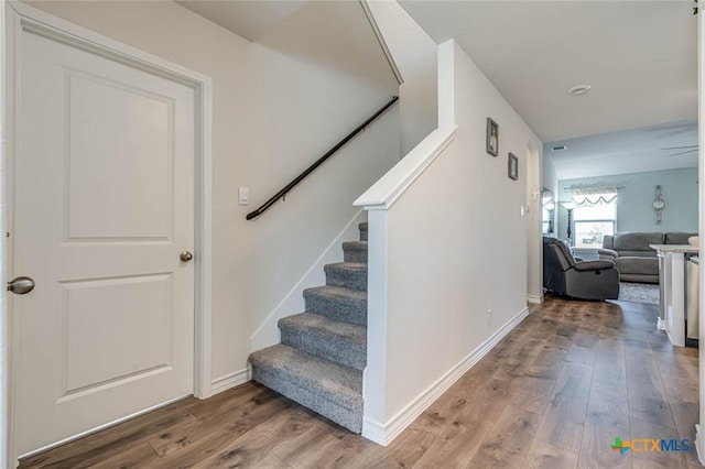 stairway with wood-type flooring