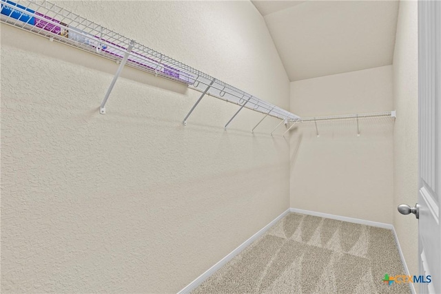 834 Wall St, New Braunfels, TX 78130 - spacious closet with carpet and vaulted ceiling