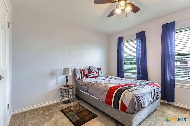 4201 Breckenridge Dr, Killeen, TX 76542 - bedroom with carpet floors, multiple windows, and ceiling fan