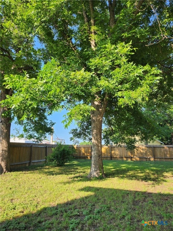 101 Alva St, Thrall, TX 76578 - view of fenced backyard