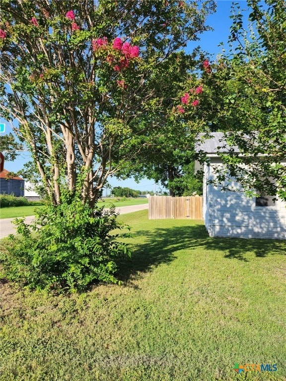 101 Alva St, Thrall, TX 76578 - photo 10