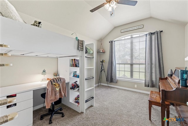 6 Salta Ct, Belton, TX 76513 - office space with ceiling fan, carpet flooring, baseboards, and lofted ceiling