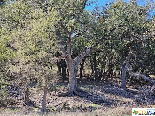 TBD County Rd 230, Lampasas, TX 76550 - photo 5