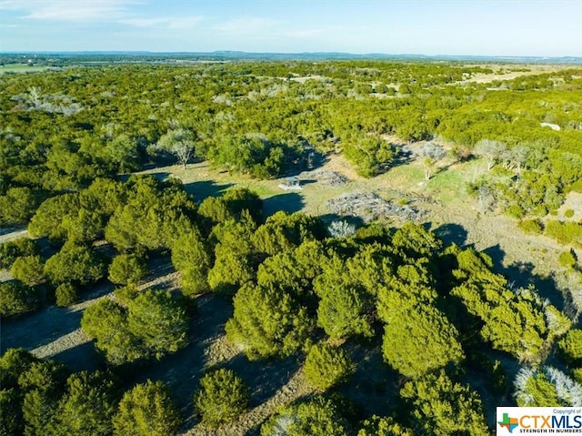 TBD County Rd 230, Lampasas, TX 76550 - photo 19