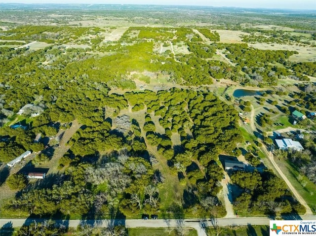 TBD County Rd 230, Lampasas, TX 76550 - photo 16