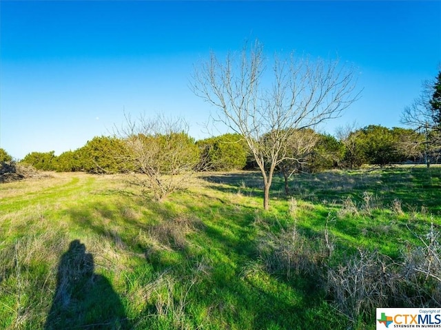 TBD County Rd 230, Lampasas, TX 76550 - photo 13